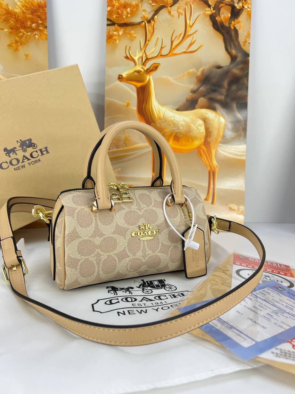 Coach Mini Rowan Satchel.