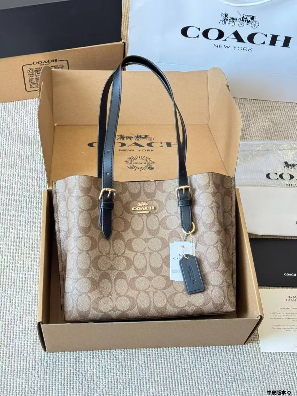 COACH Mollie Tote 25 in Signature Canvas