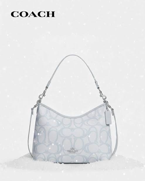 Coach Teri Shoulder Bag in Signature Coated Canvas