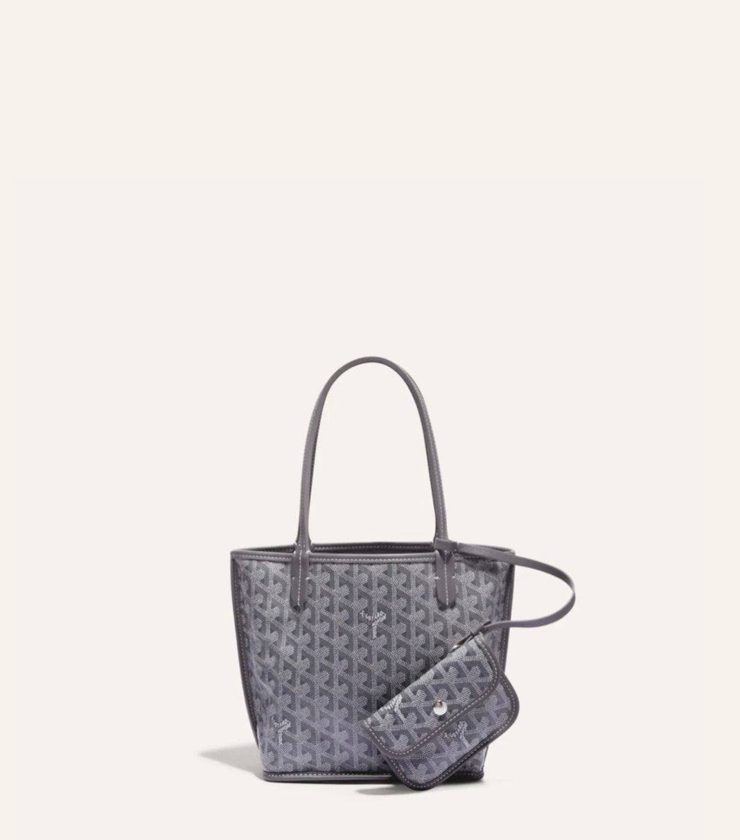 Goyard Anjou Tote Bag (Mini / PM Size)