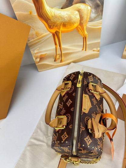 Louis Vuitton Speedy Bandoulière (Monogram Multicolore & Classic Monogram Editions)