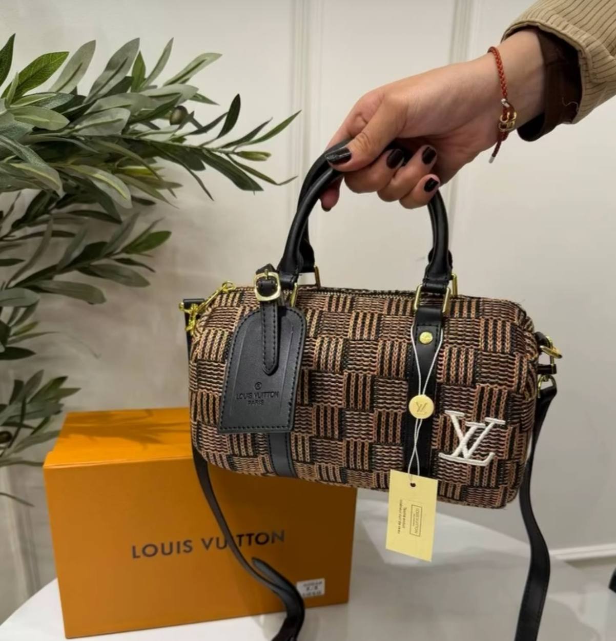 Louis Vuitton Speedy Bandoulière (Damier Raffia Edition)