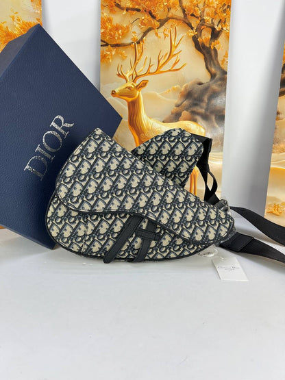 Dior Saddle Bag