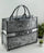 Dior Book Tote – Luxury Fashion Canvas & Denim Tote Bag