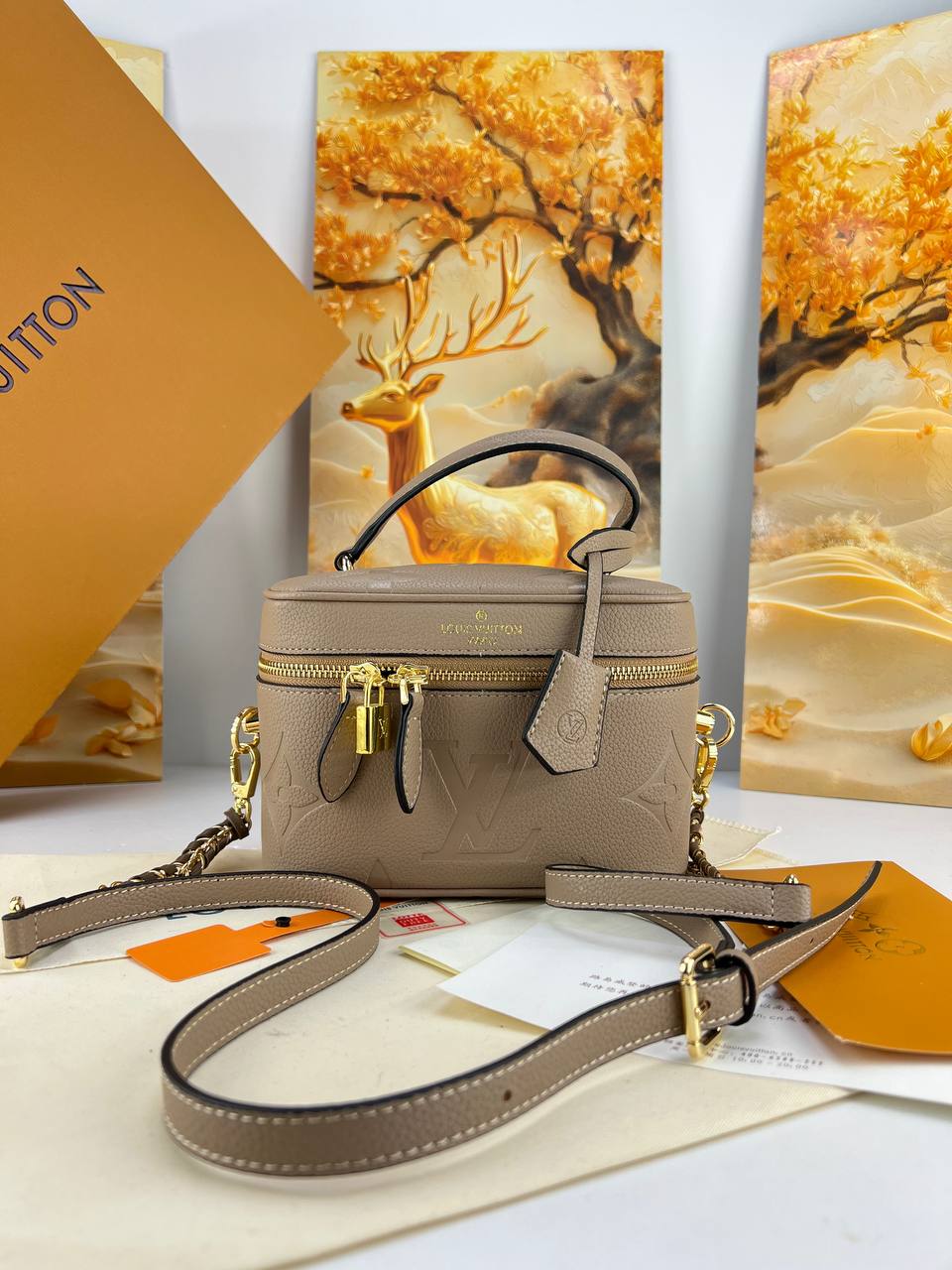 Louis Vuitton Vanity PM Bag